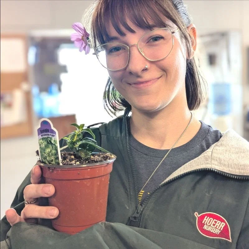 When is it safe to plant?