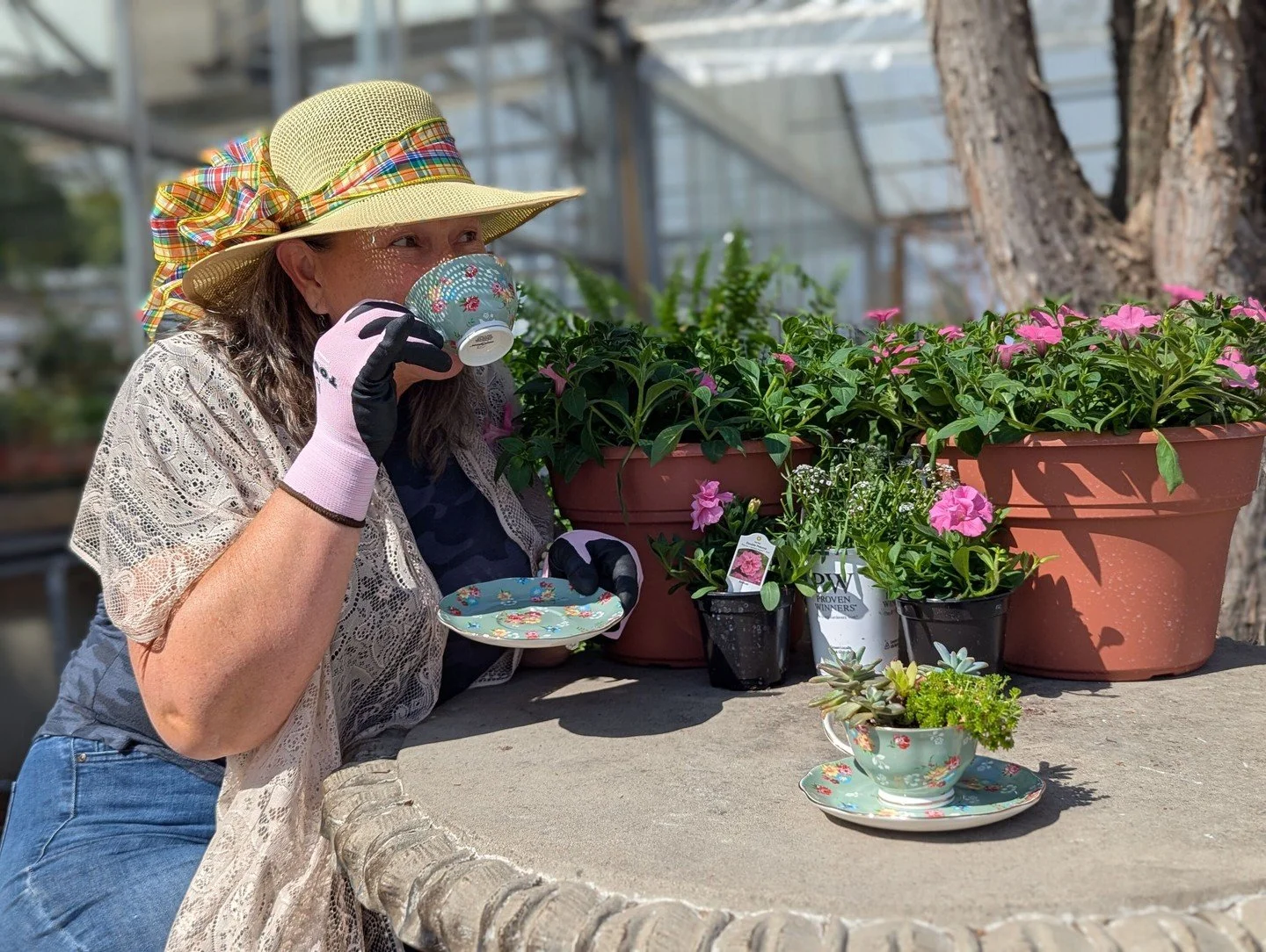 Looking for a creative way to welcome spring? Sign up for our Succulent Teacup Workshop with Lisa on April 25th! She'll walk you through building your own mini teacup garden, all materials included. It's a fun way to celebrate the season with friends