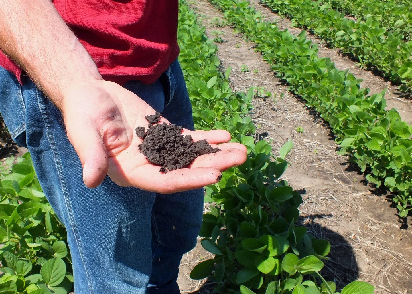 &ldquo;As soon as the soil can be worked.&rdquo; You see that phrase a lot on seed packets and planting directions, but what does it really mean? Put simply, it means that the soil is no longer mud. If you can grab a handful of soil, squeeze it, and 