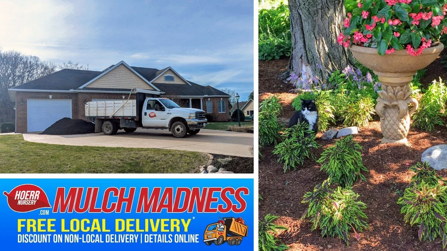Between downpours one day and sunny skies the next, our gardens are feeling the roller-coaster weather! A good layer of mulch keeps the soil temperature steady, the moisture levels even, and stops weeds from taking over during these wet, warm weeks. 