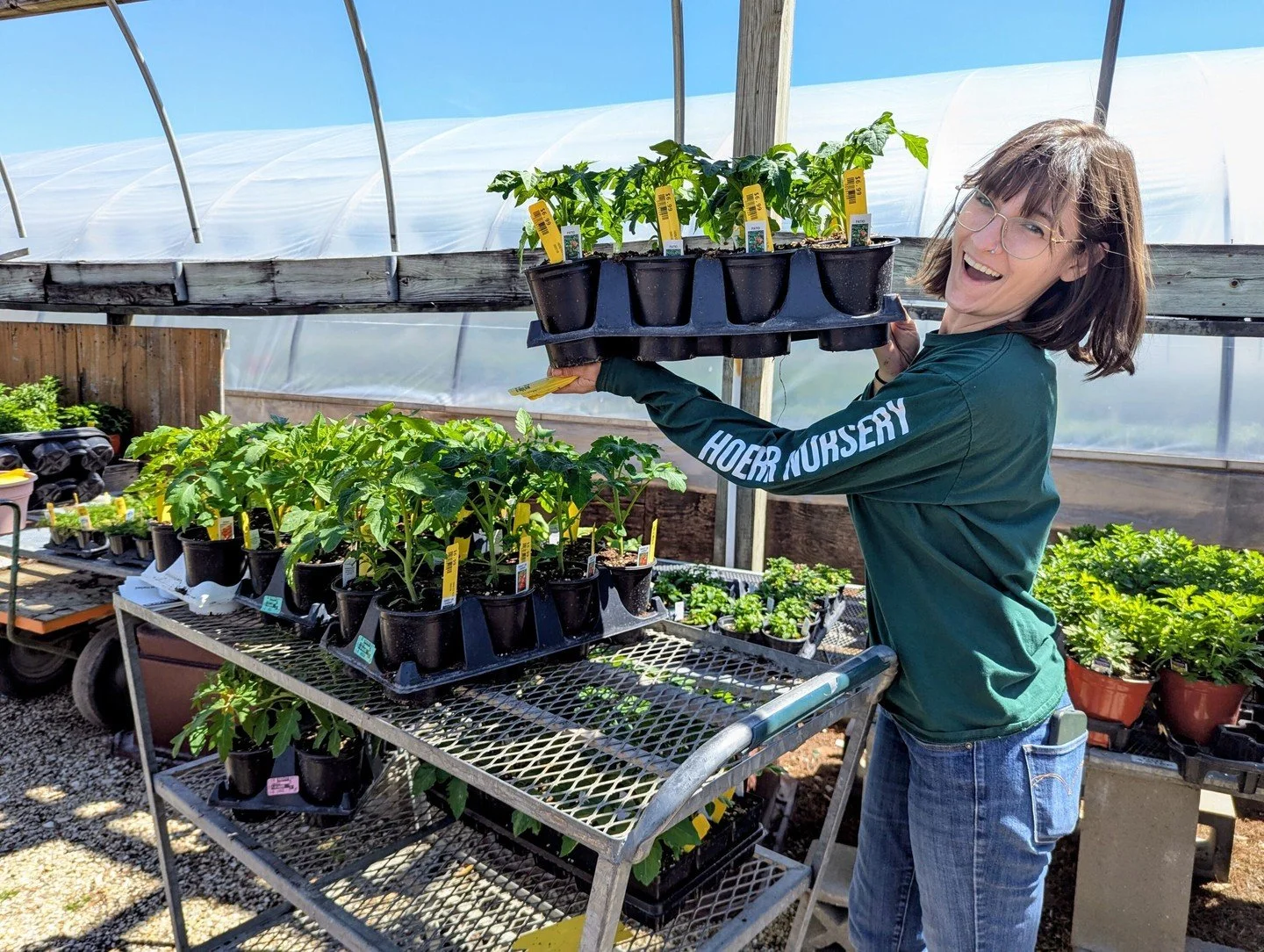Get your 'maters here! 🍅 We've got the first five of our seed-grown tomatoes full-sized and read to go home with you:
Roma
Sweet 100
Beefsteak
Grape
Patio

Stay tuned! There are thirty more homegrown varieties to come!

#peoriaillinois #peoriail #en