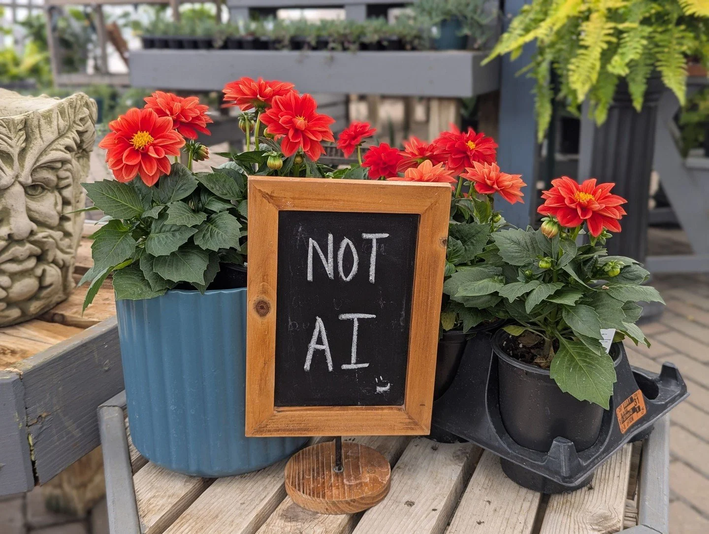We guarantee that all of our plants are grown, not generated. 😉

#peoriaillinois #peoriail #enjoypeoria #hellopeoria #shoplocal365 #discoverpeoria #bestofpeoria #shoplocalpeoriail #heartofillinois