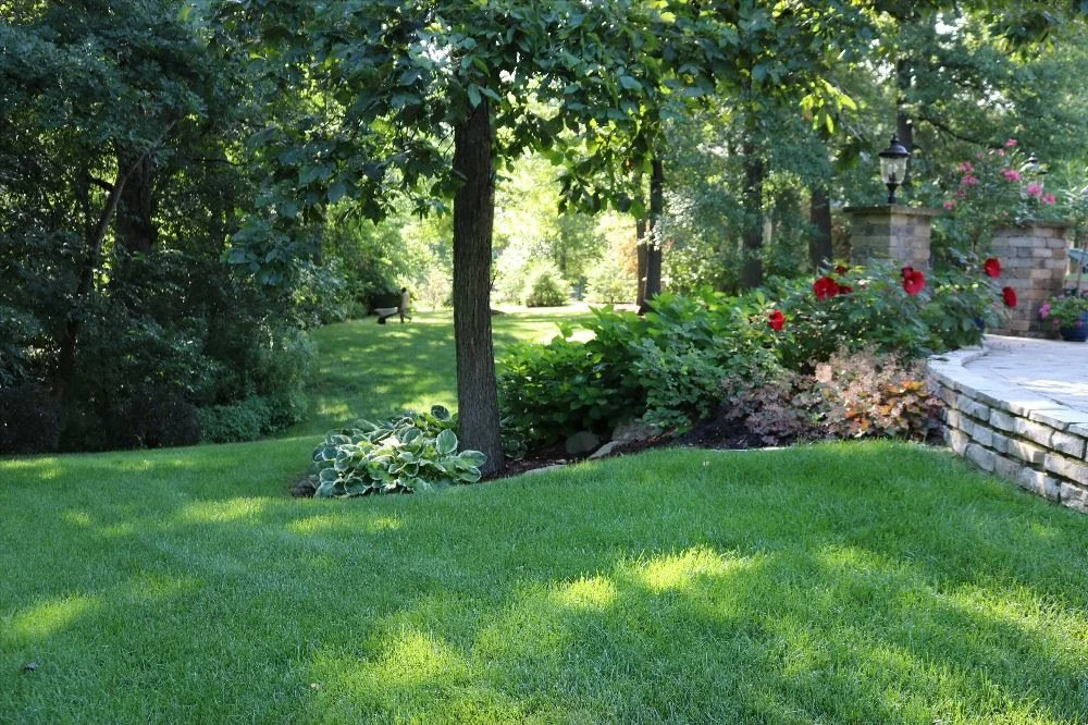 Fresh-Cut Sod, Ready When You Are!