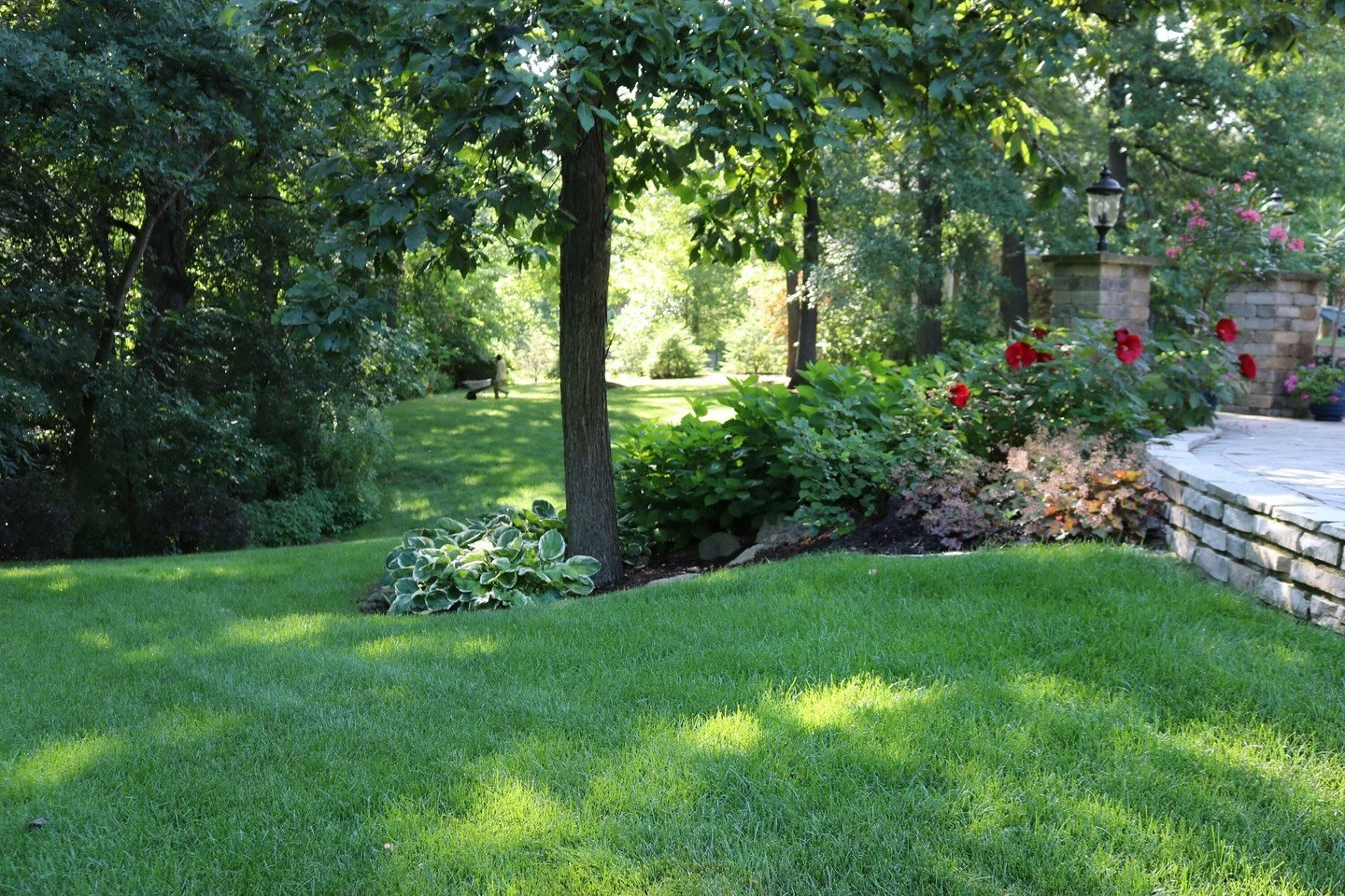 Barefoot season is calling 🌞

If your lawn isn&rsquo;t quite where you want it to be, fresh-cut sod is one of the fastest ways to transform it.

Our homegrown sod is available now:

Black Beauty Fescue

Kentucky Bluegrass

$8.50 per roll (10 sq ft)
