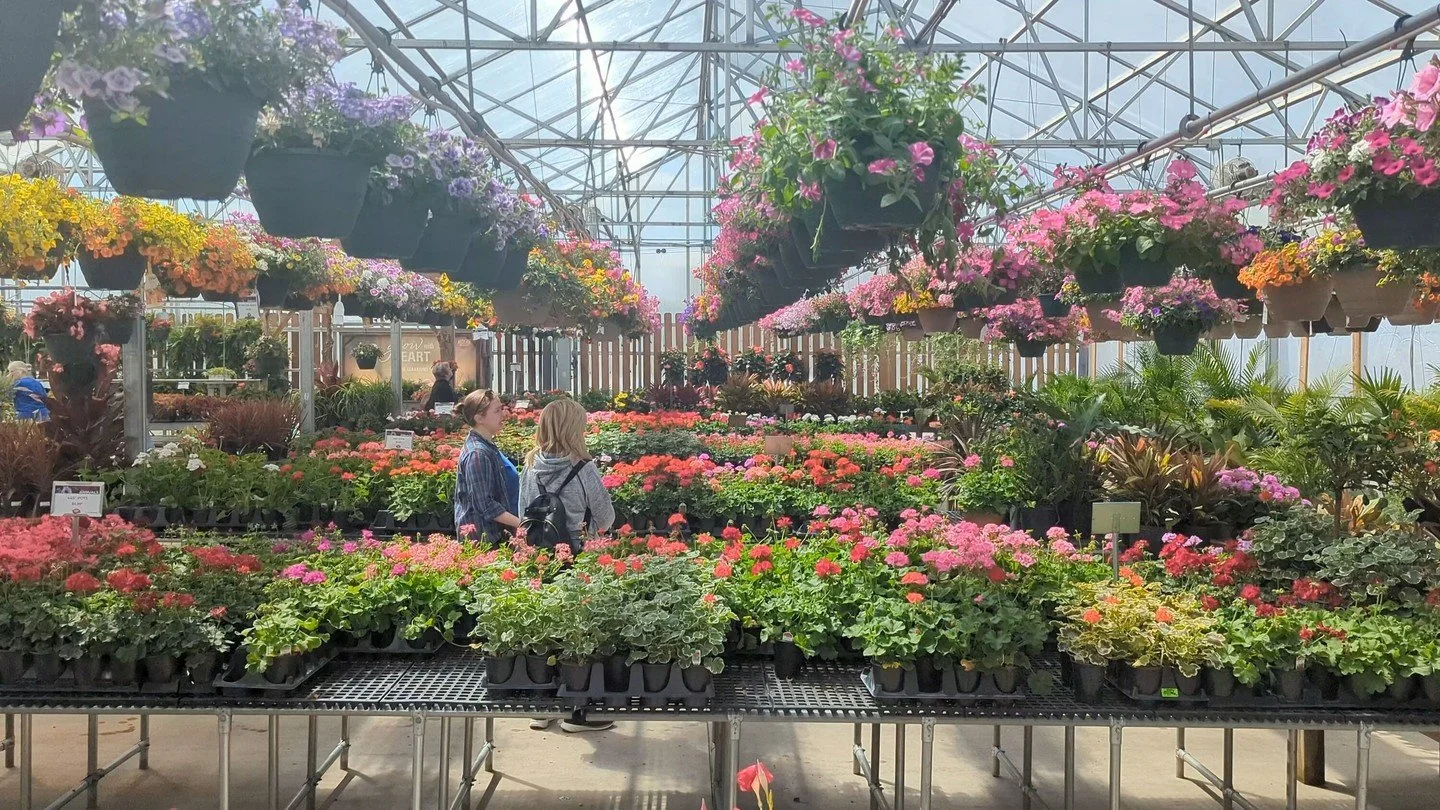 Not all those who wander are lost 🌿

There's something special about spring at Hoerr Nursery, and the best way to experience it is to come for a visit yourself.

We grow much of what you&rsquo;ll find here on site, and we offer only the plants that 