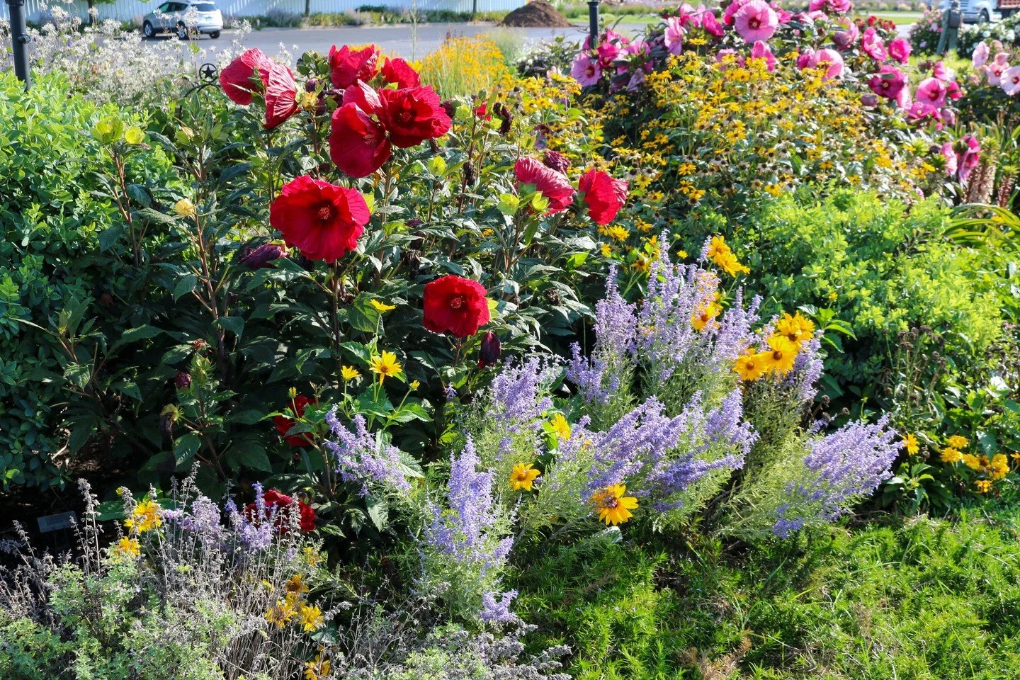 Hot take: when you're shopping the benches, don't just grab what's blooming. Perennials are a long game, and the best ones often aren't the showiest thing available in May. Take your time, read the signs, and if you've got questions about a specific 