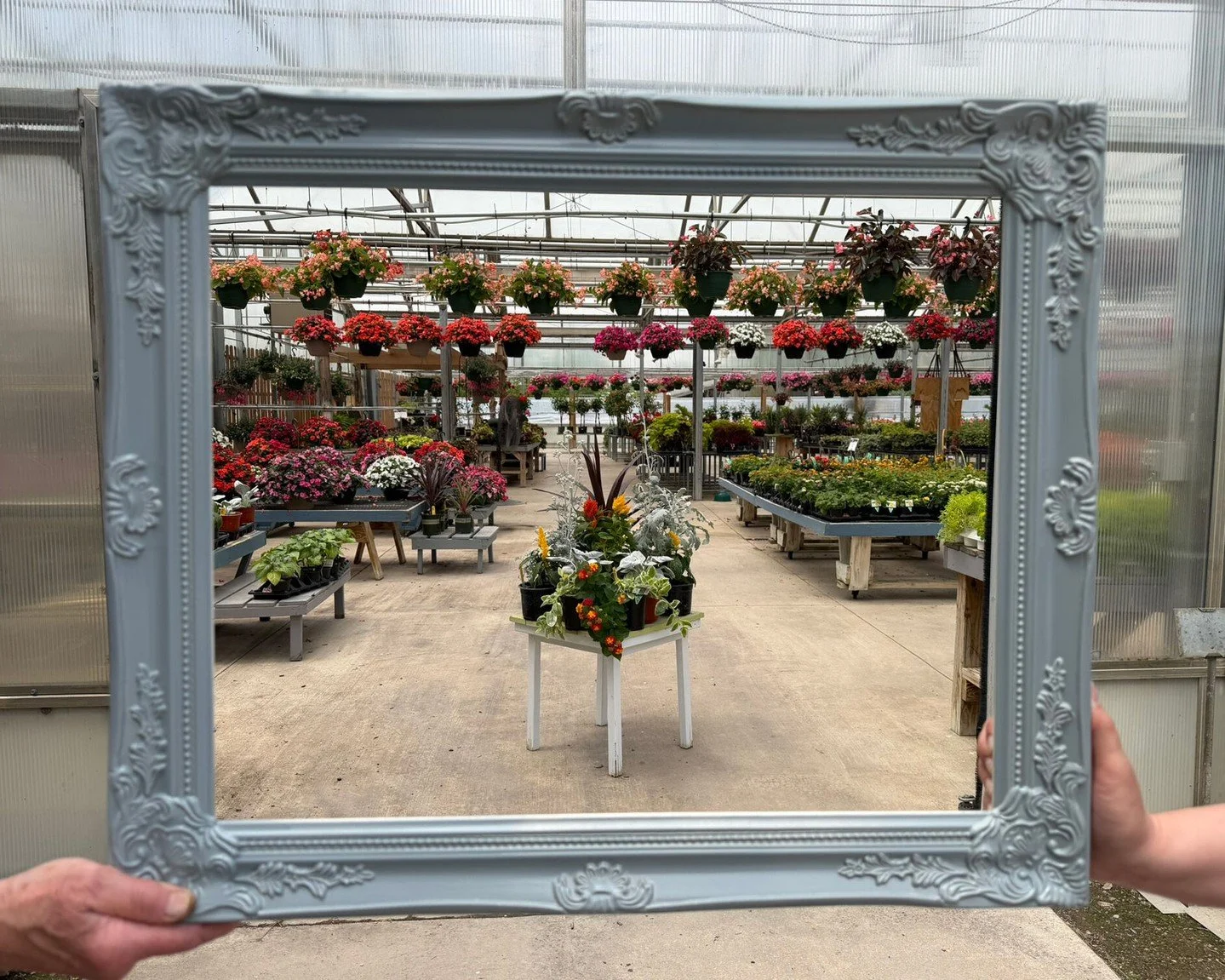 Picture these pretties on your porch! Annual flowers can turn an ordinary corner into a happy spot you&rsquo;ll enjoy all season long. Come wander, find something you love, and take home a few of your favorites. 

#peoriaillinois #peoriail #enjoypeor