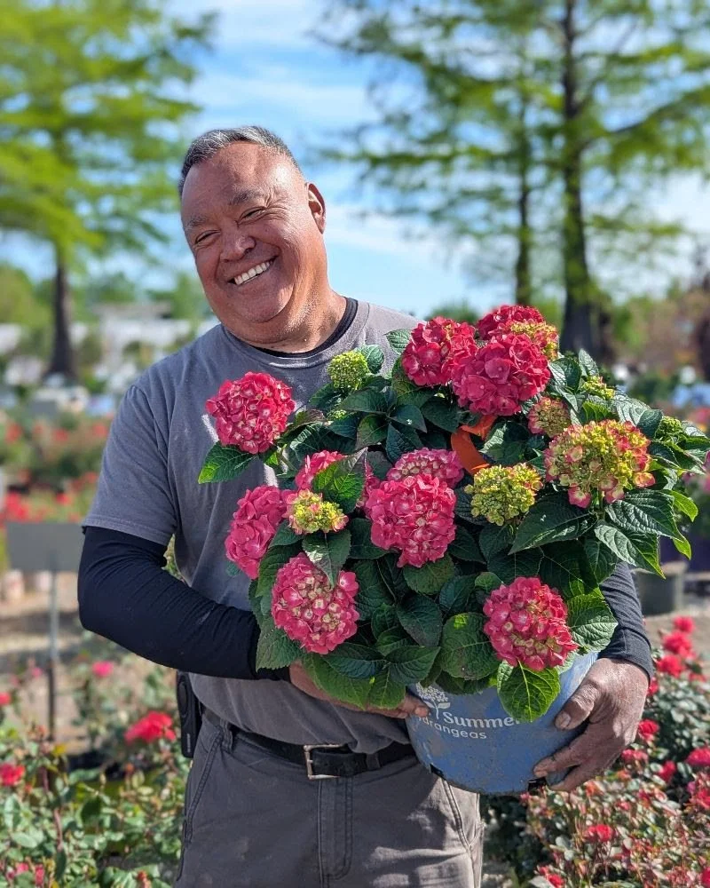 Bluer Blooms? It's in the bag!