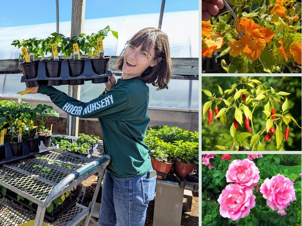 More Garden For Your Money!
