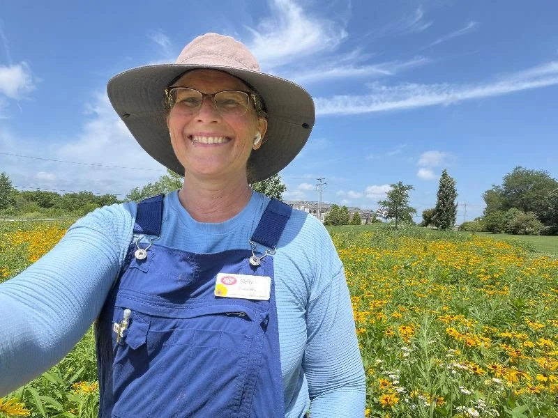 Beat the Weeds A Summer Game Plan