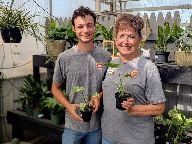 Plants for Pollinators!