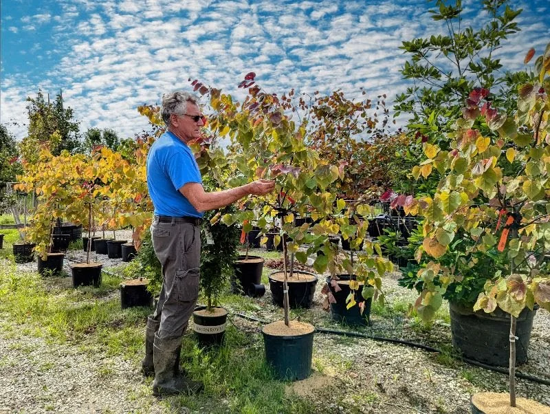 10 Staff Picks for Multiseason Color - Plants That Keep On Giving