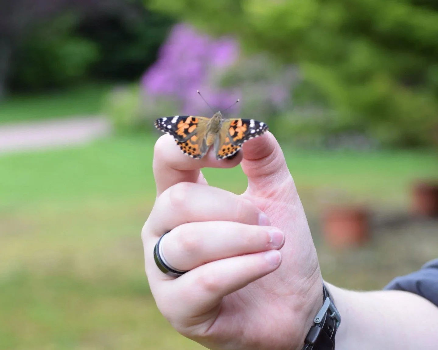 100 years, 100 butterflies! 🦋

On Saturday, August 29 at 1 p.m., we'll be gathering in the perennial yard to release 100 butterflies commemorating 100 years, one for every year that Hoerr Nursery has been part of the Peoria community.

It started in