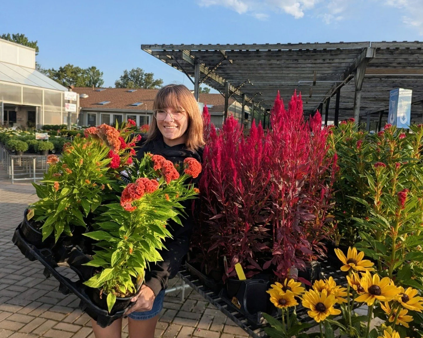 This just in: autumn annuals! As summer winds down, these jewel-toned plants bring new color to containers and garden beds. If you're looking for instant "wow," we've got some beautiful pre-planted containers made up too.  Stop by this week