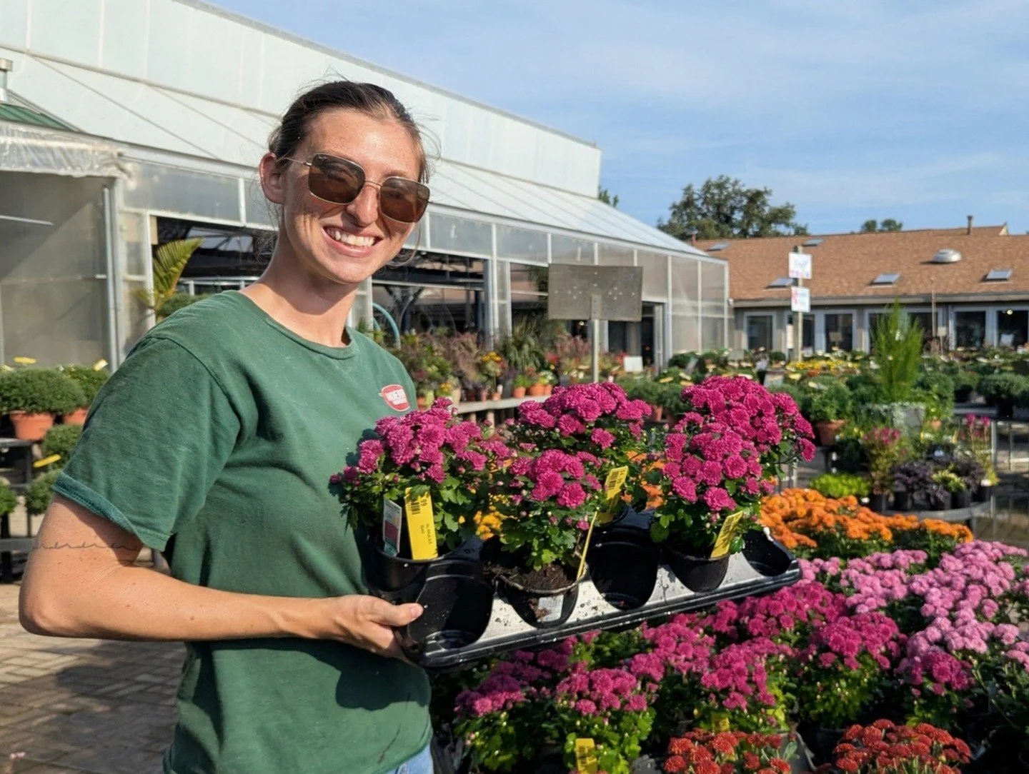 Still waiting for fall weather? 🌡️ Us too, but at least you can get fall on your front porch! Mini mums are out and blooming beautifully, just $4.99, and the bigger ones aren't far behind them. Early pumpkins are starting to roll in, and the cornsta