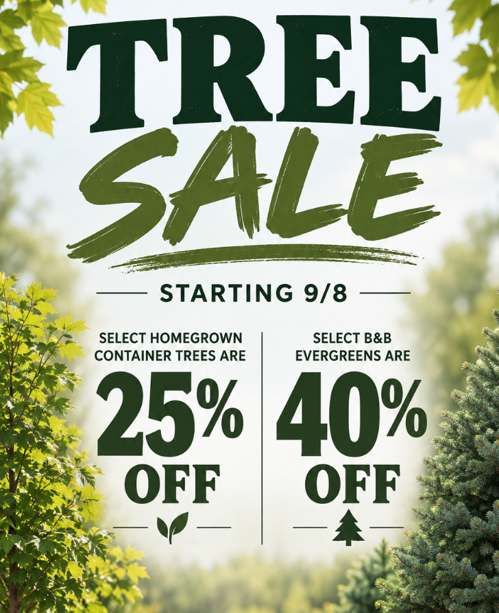 Tree Sale Starting 9/8 Select homegrown container trees are 25% off, and select B&amp;B evergreens are 40% off.