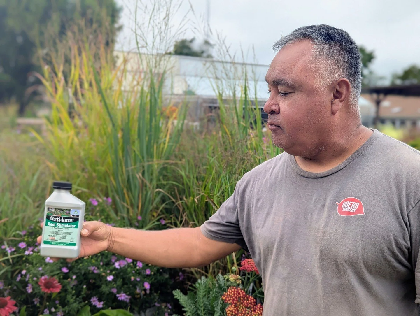 The secret to great fall planting lies below the soil line! Fertilome Root Stimulator is formulated to encourage root development for newly planted trees, shrubs, and perennials, rather than pushing new growth that would get nipped back with a frost.