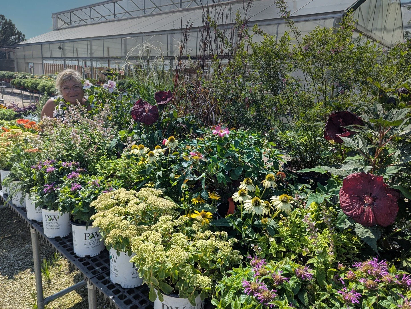 What happens to the plants that we trial?
Sometimes they earn a permanent place in our lineup, but sometimes they make way for something new. These plants aren't returning next year, but they&rsquo;re still reliable choices for Central Illinois lands