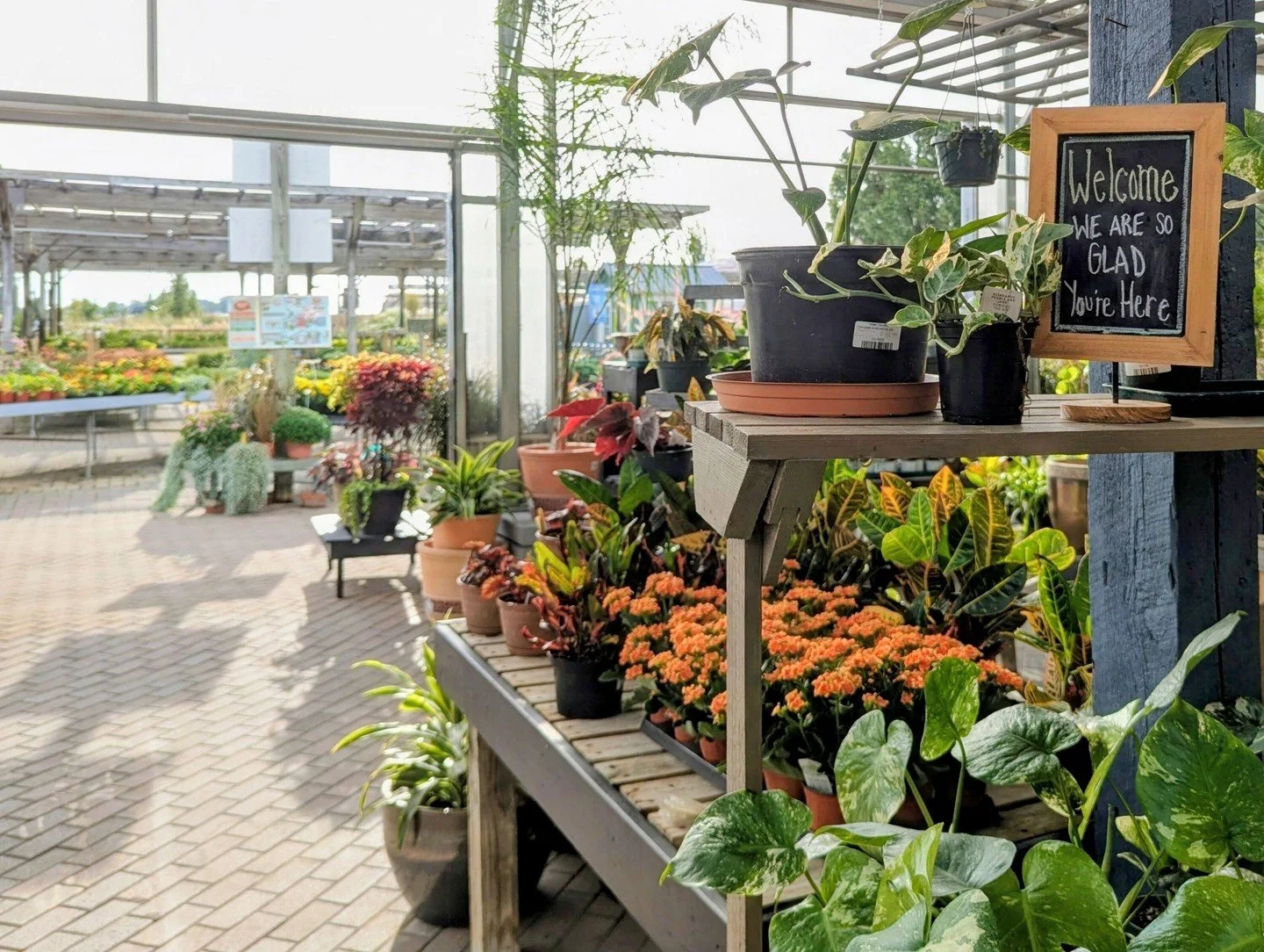 Mark your calendars! There's a lot happening at Hoerr Nursery: 

🌼 Trial plants, 60% off
Varieties we've trialed that didn't make the permanent lineup, though they're still solid choices for Central Illinois yards. See what's available while supplie