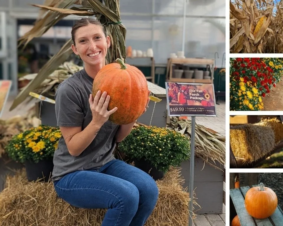 The Fall Porch Package is back! Get two mums, a cornstalk bundle, strawbale, and your choice of one pumpkin with a neon yellow sticker, all for $49.99. It&rsquo;s an easy way to make your front door feel like fall. 

#peoriaillinois #peoriail #enjoyp