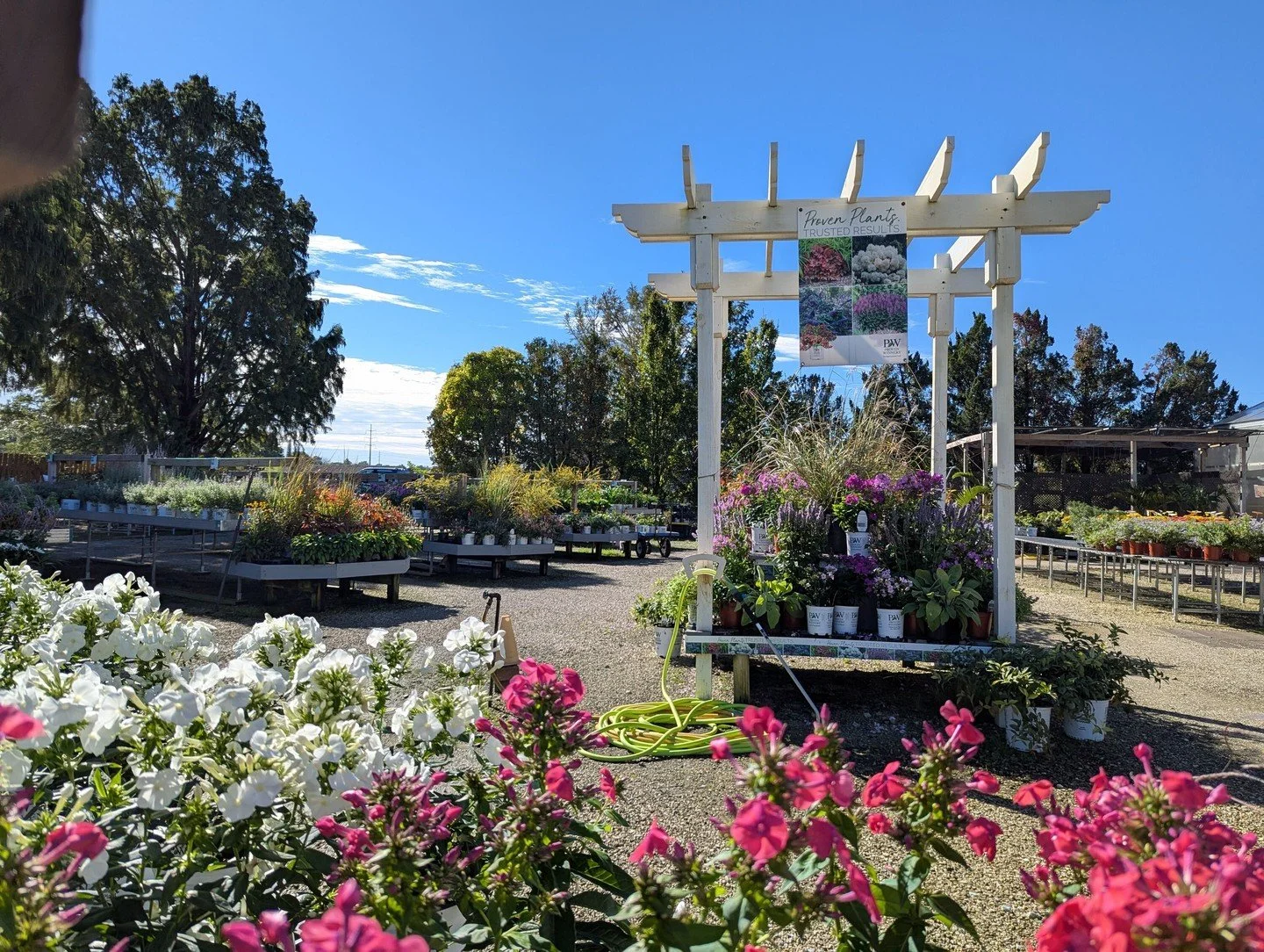 We&rsquo;re still planting, and so can you! Our fall selection is full because we grow and overwinter our plants rather than starting over in spring. Add new trees, shrubs or perennials to your garden now, and they'll root themselves in the warm soil