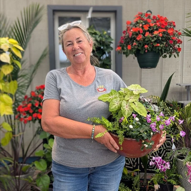 Settle In For the Season + House Plants &amp; Bird Baths