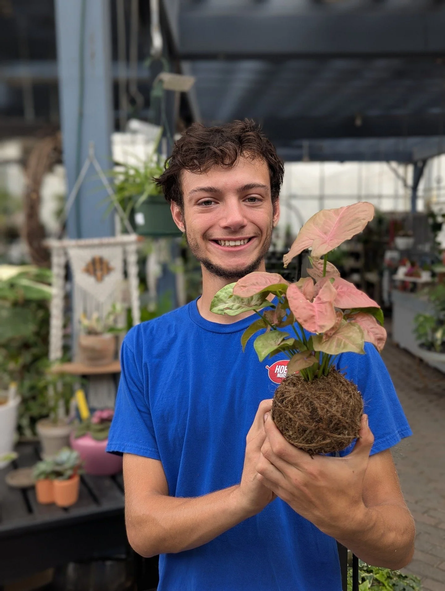 Want a new way to display your favorite houseplants? Try kokedama. 
On November 7th at 10am, Ayden will share another of his houseplant hacks. This time he's demonstrating how to grow a houseplant without a pot. This Japanese planting style (the word