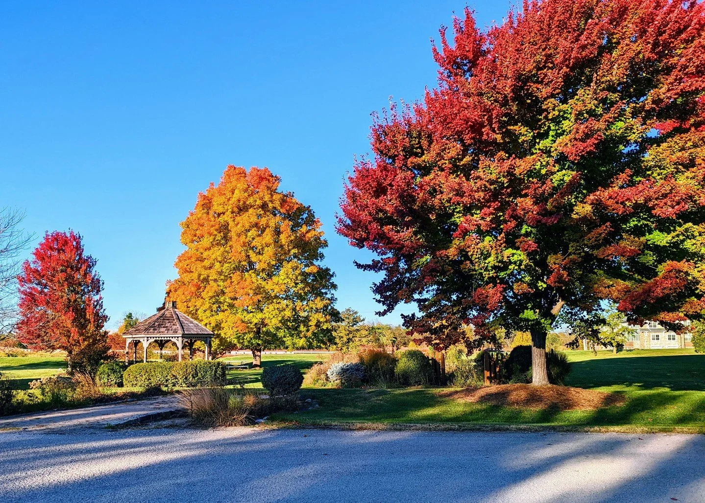 Admiring someone else&rsquo;s fall color? Bring us a photo, and we&rsquo;ll help you find a tree with the same look that works in your yard.

#peoriaillinois #peoriail #enjoypeoria #hellopeoria #discoverpeoria