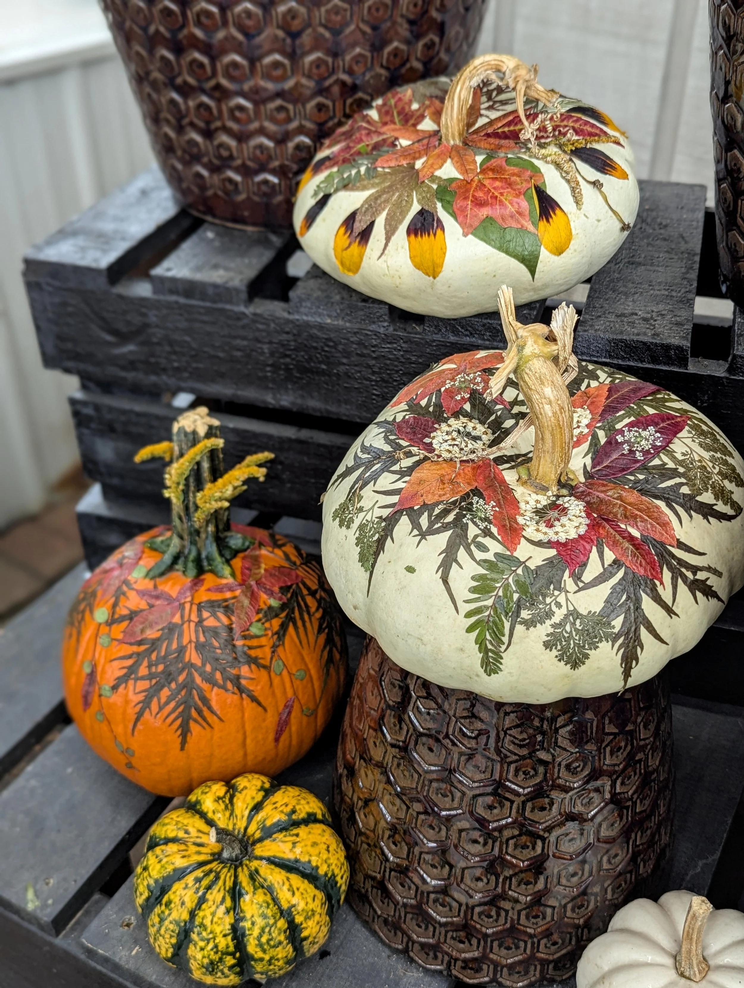 Pressed Flower Pumpkin – Saturday, October 24, 10 a.m.
