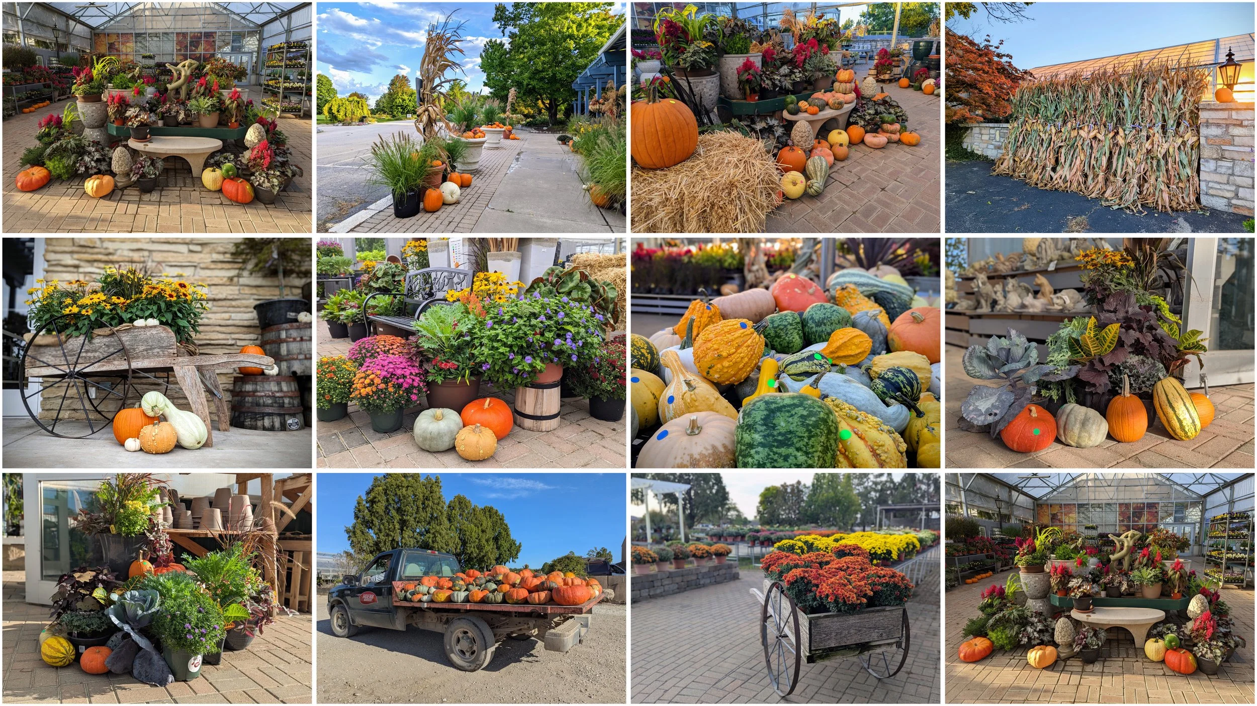 hoerr_fall_banner_16x9_300dpi.jpg