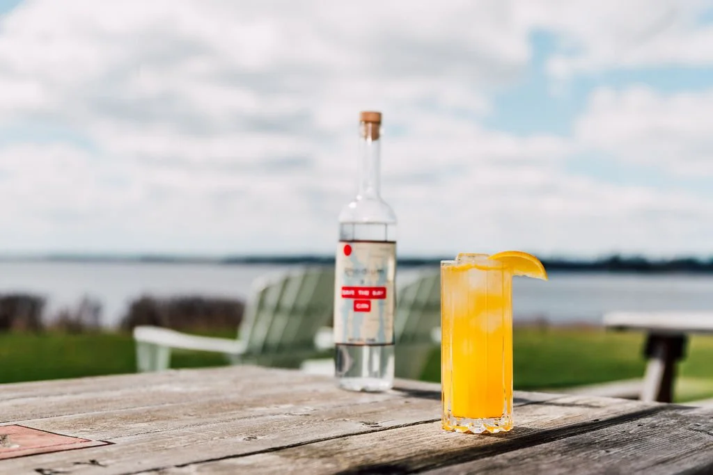 Rhodium x Save The Bay Gin - Launch