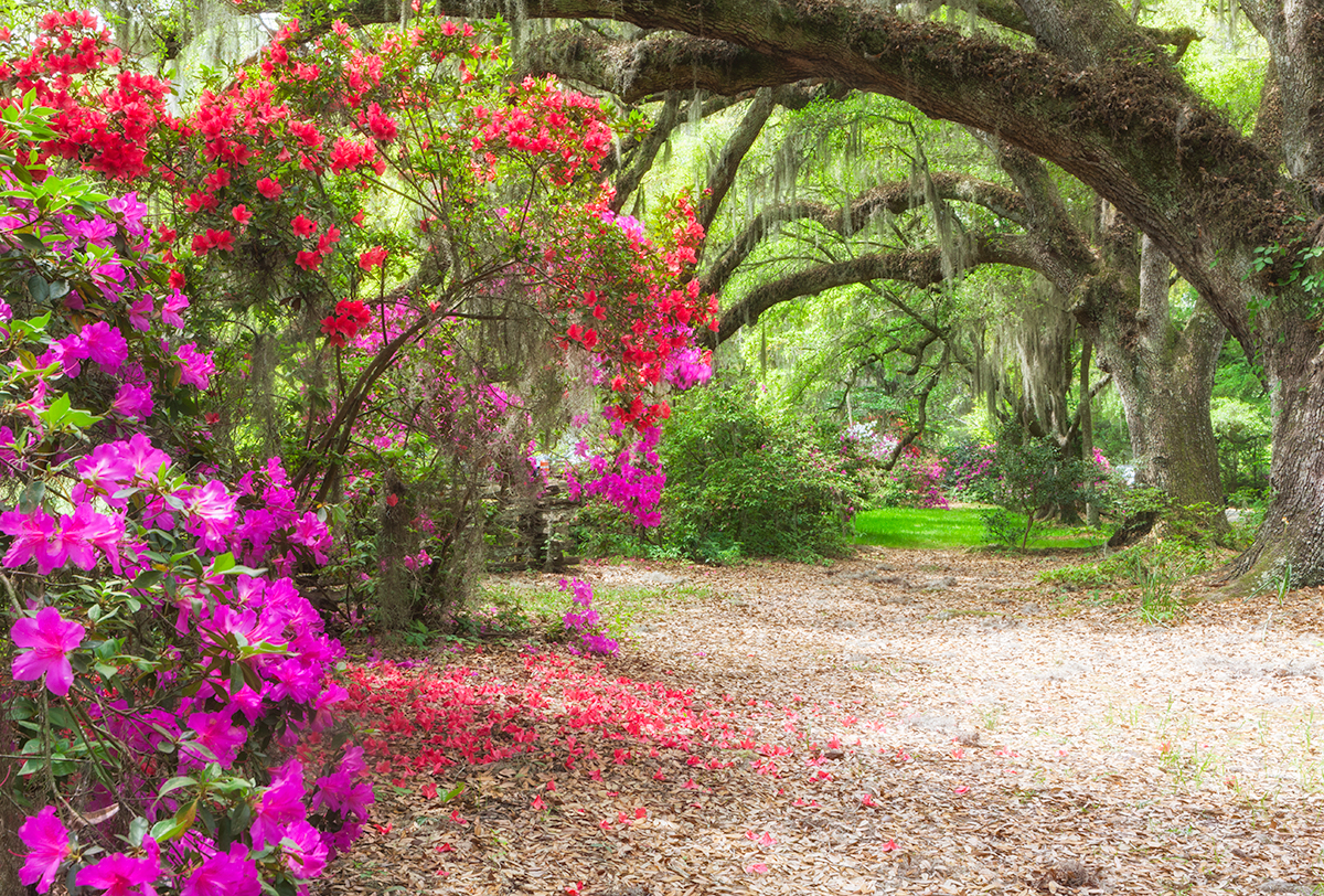 CHARLESTON, SOUTH CAROLINA