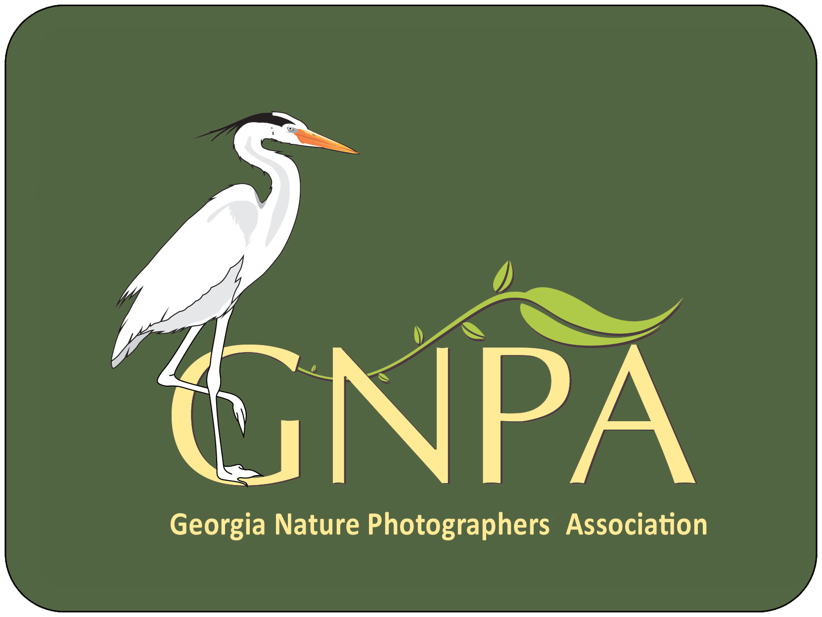 GNPA-Logo-color.png