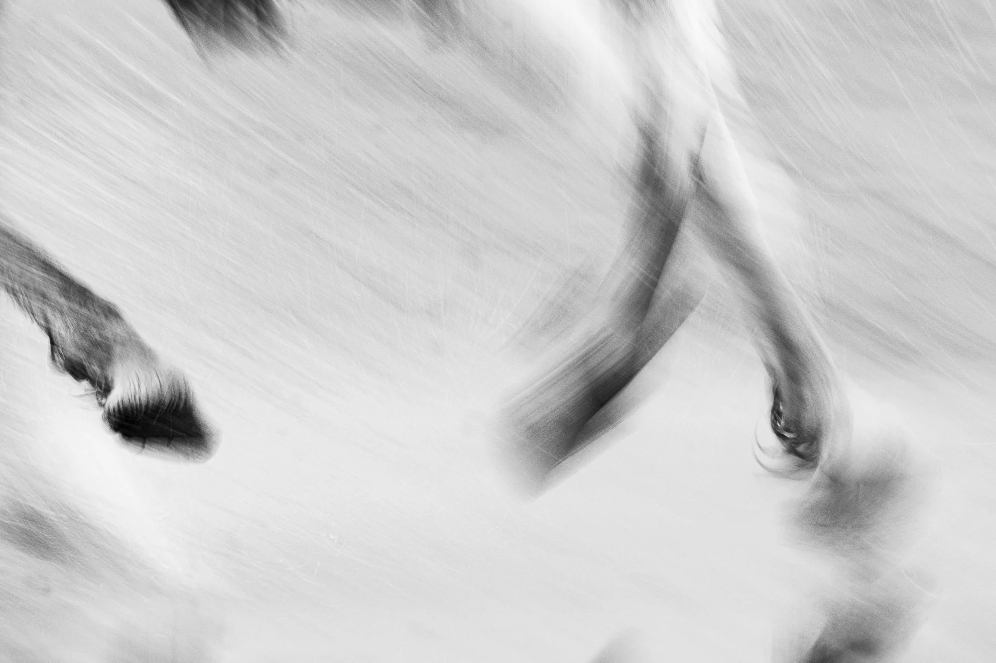 _B9A1300.JPG