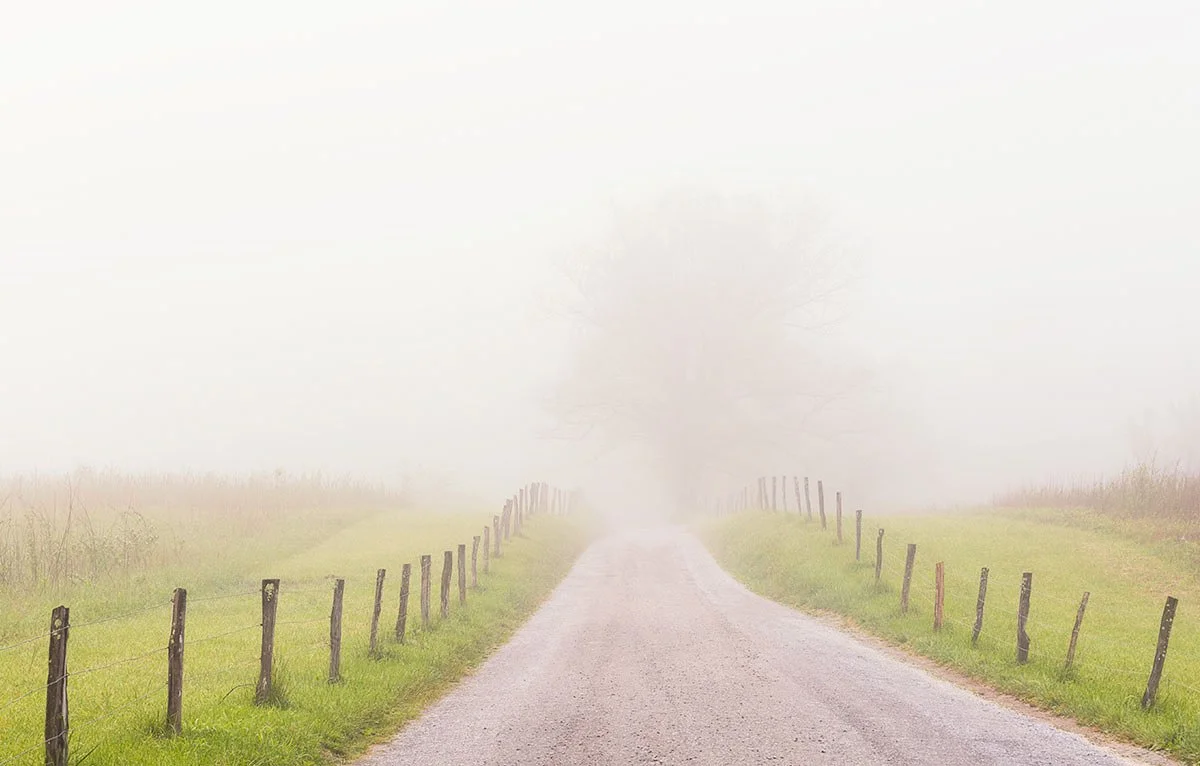 Hyatt Lane in fog Jennifer King.JPG