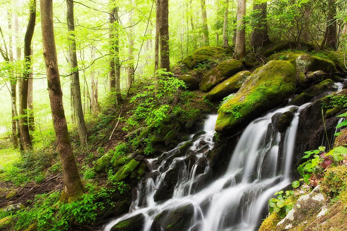 Smoky Mountains Spring Waterfall Jennifer King.JPG