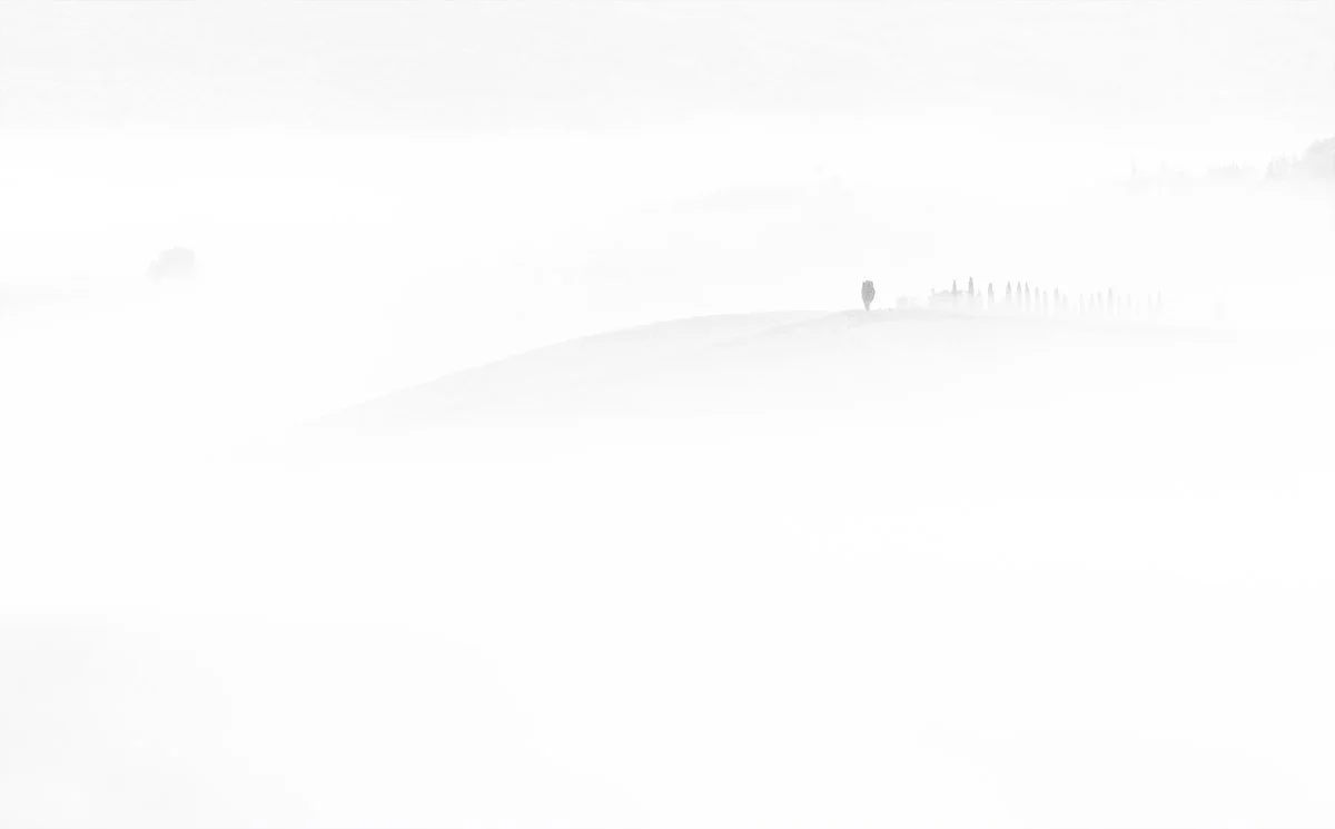 _45A3672.JPG