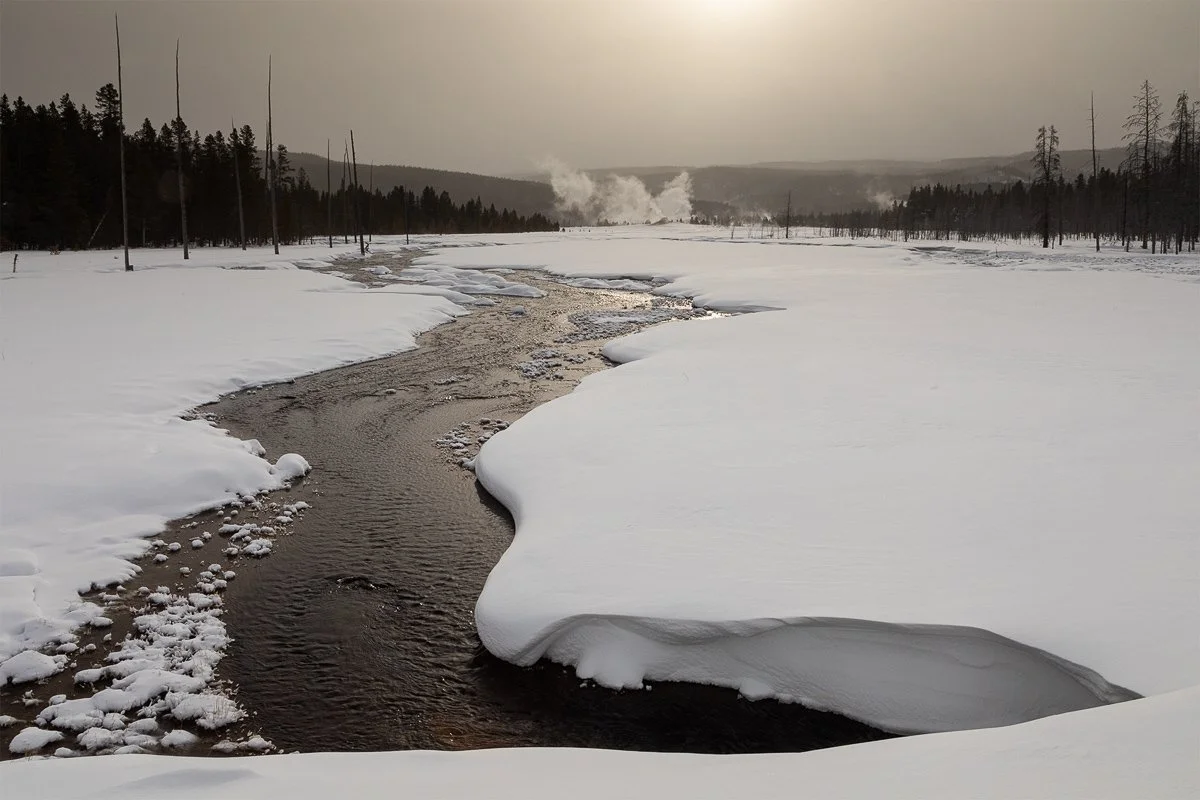 Winter Geyser Yellowstone Jennifer King.JPG