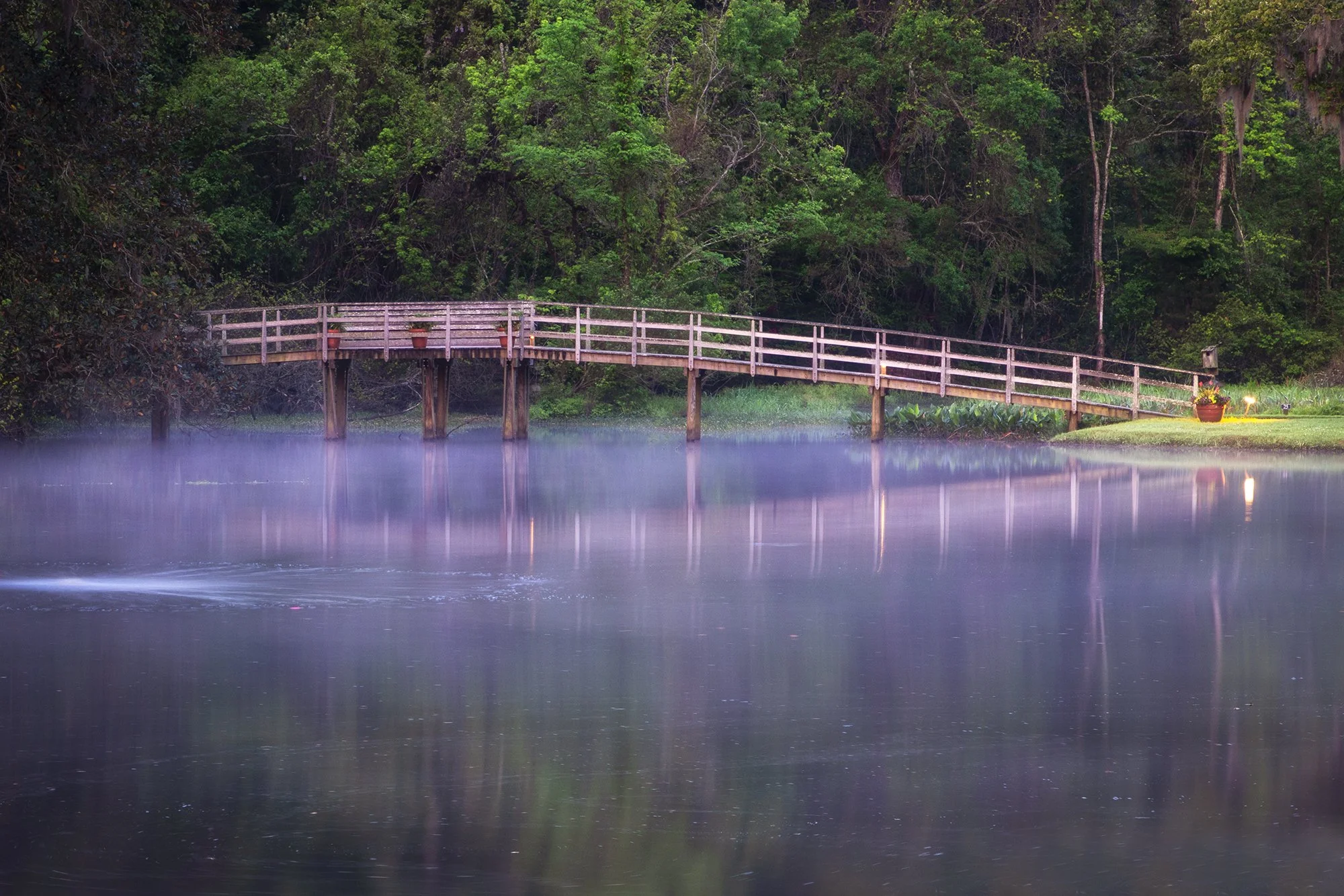 Morning Fog on the Lake Bridge