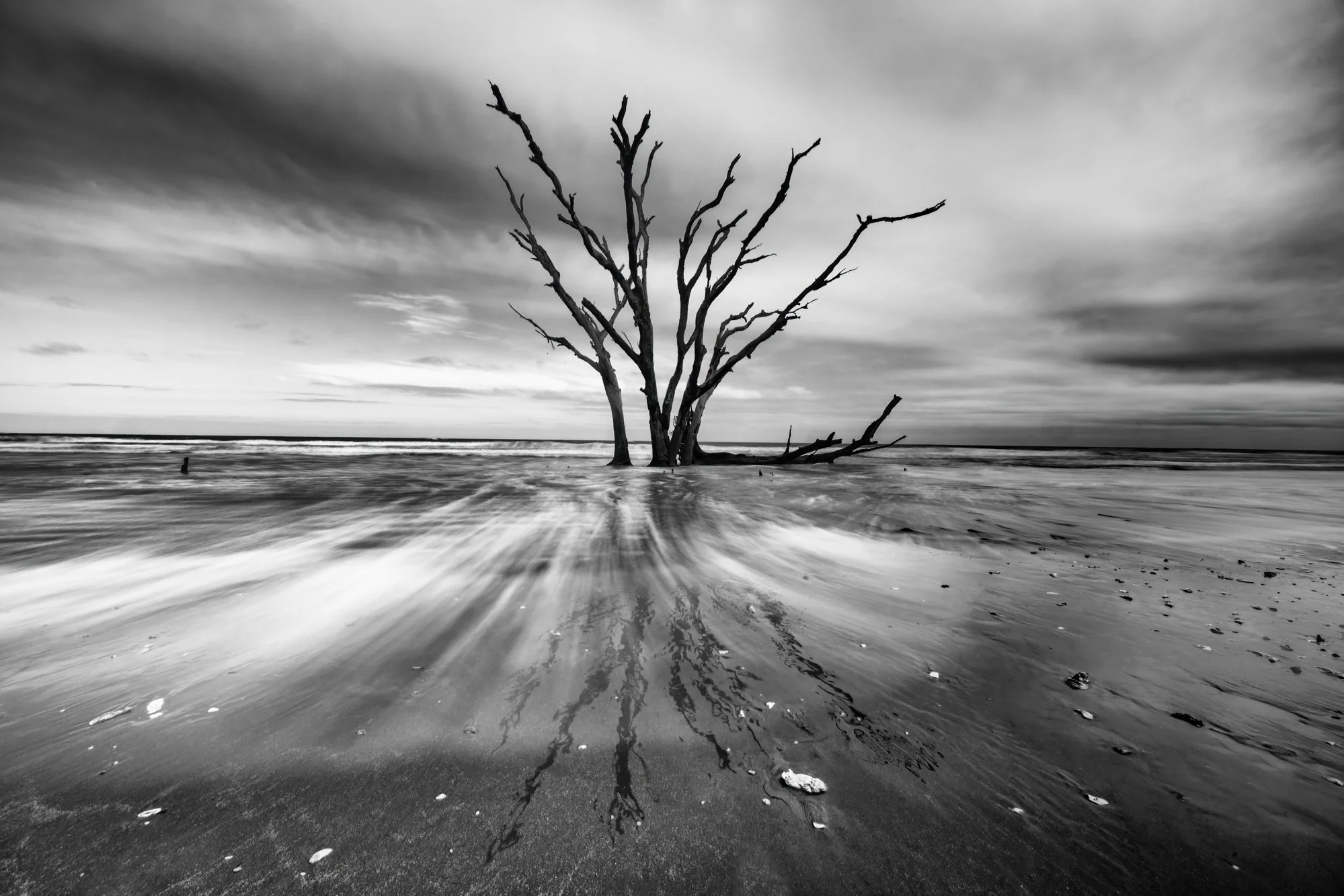 Boneyard Beach South Carolina