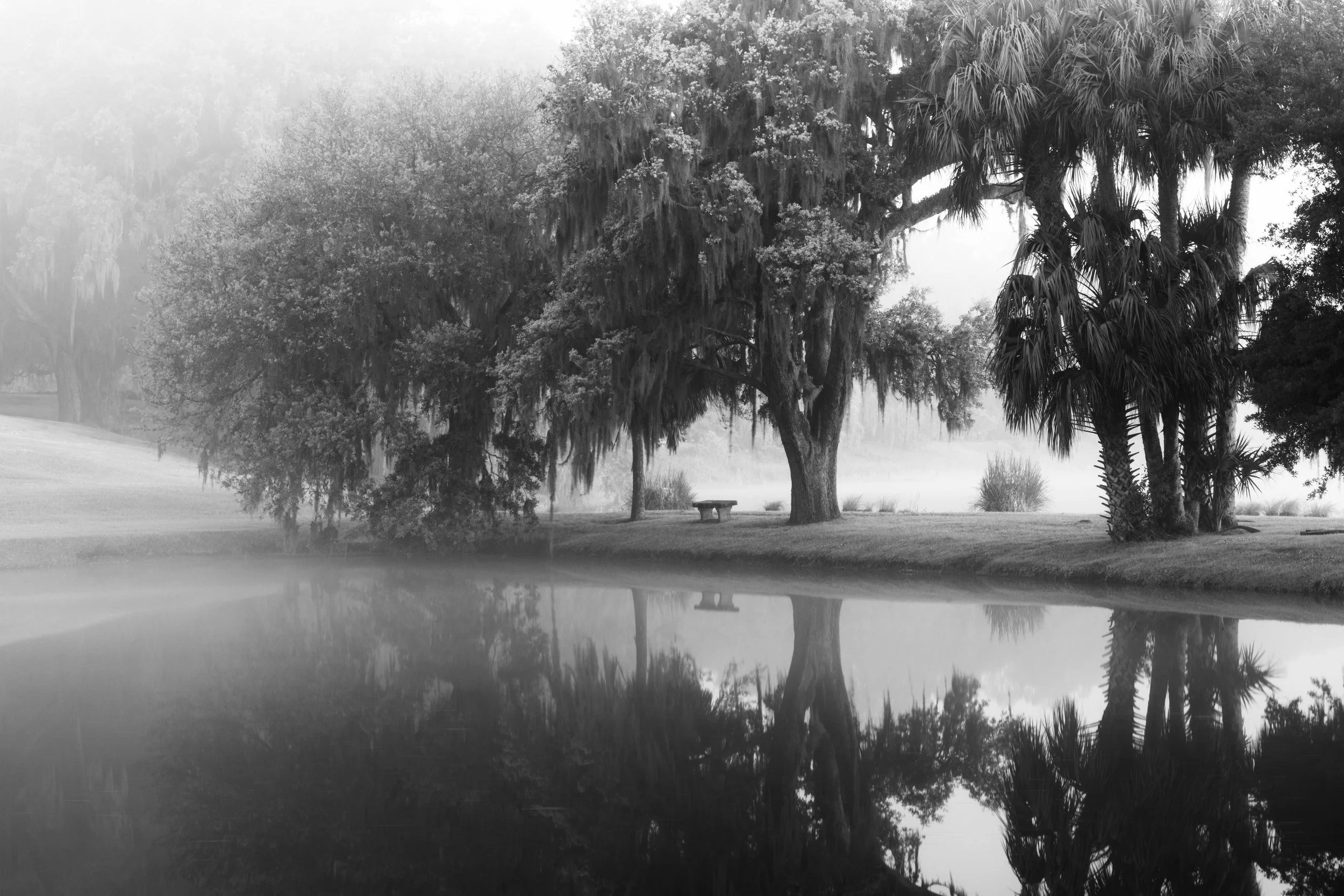 The Ashely River in Fog