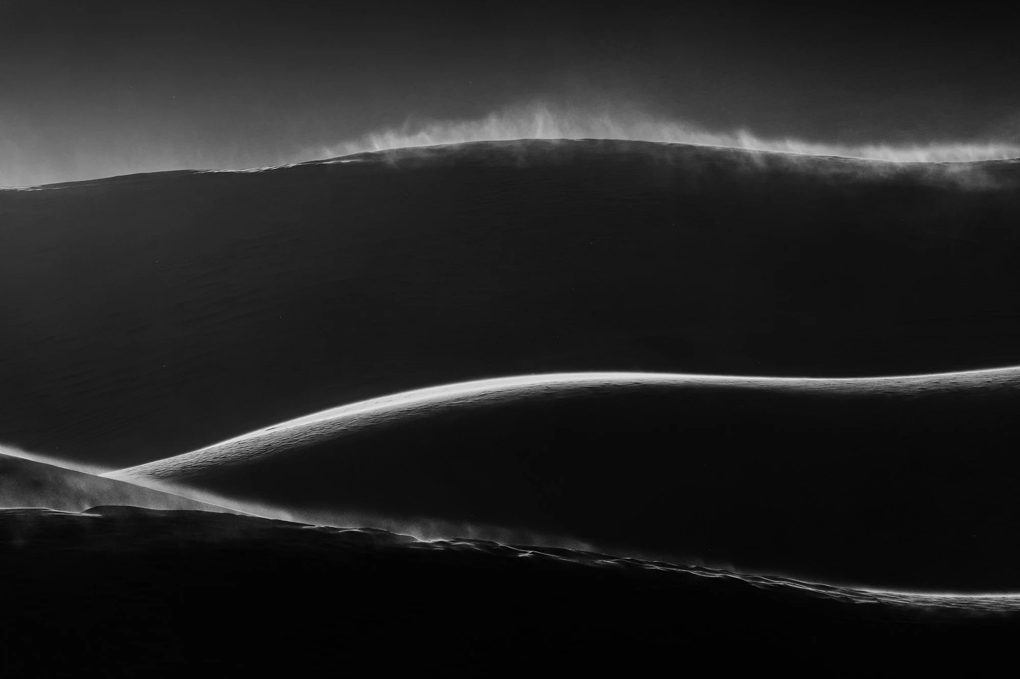 Desert Details Black &amp; White