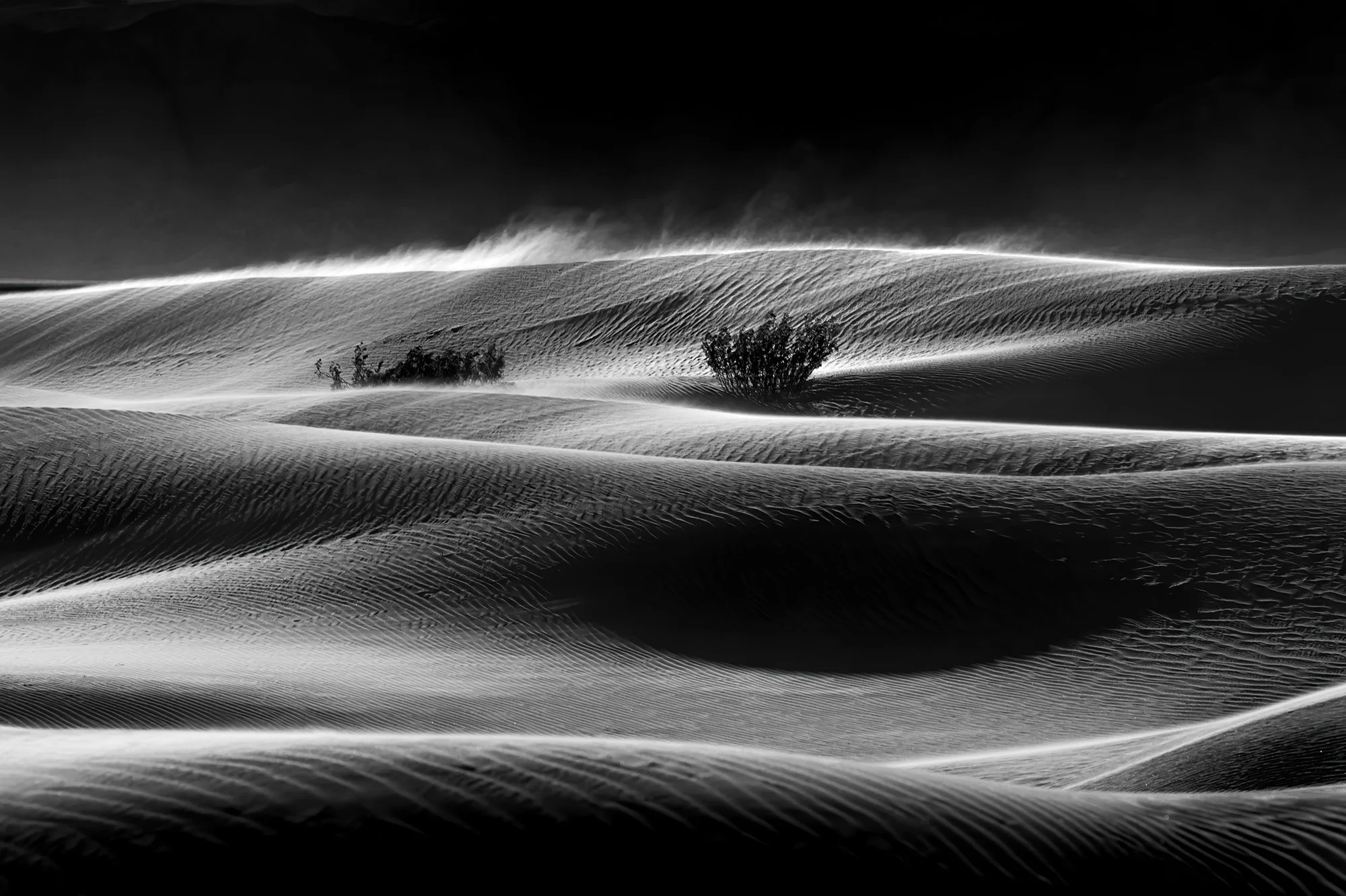 Mesquite Sand Dunes Jennifer King.jpg