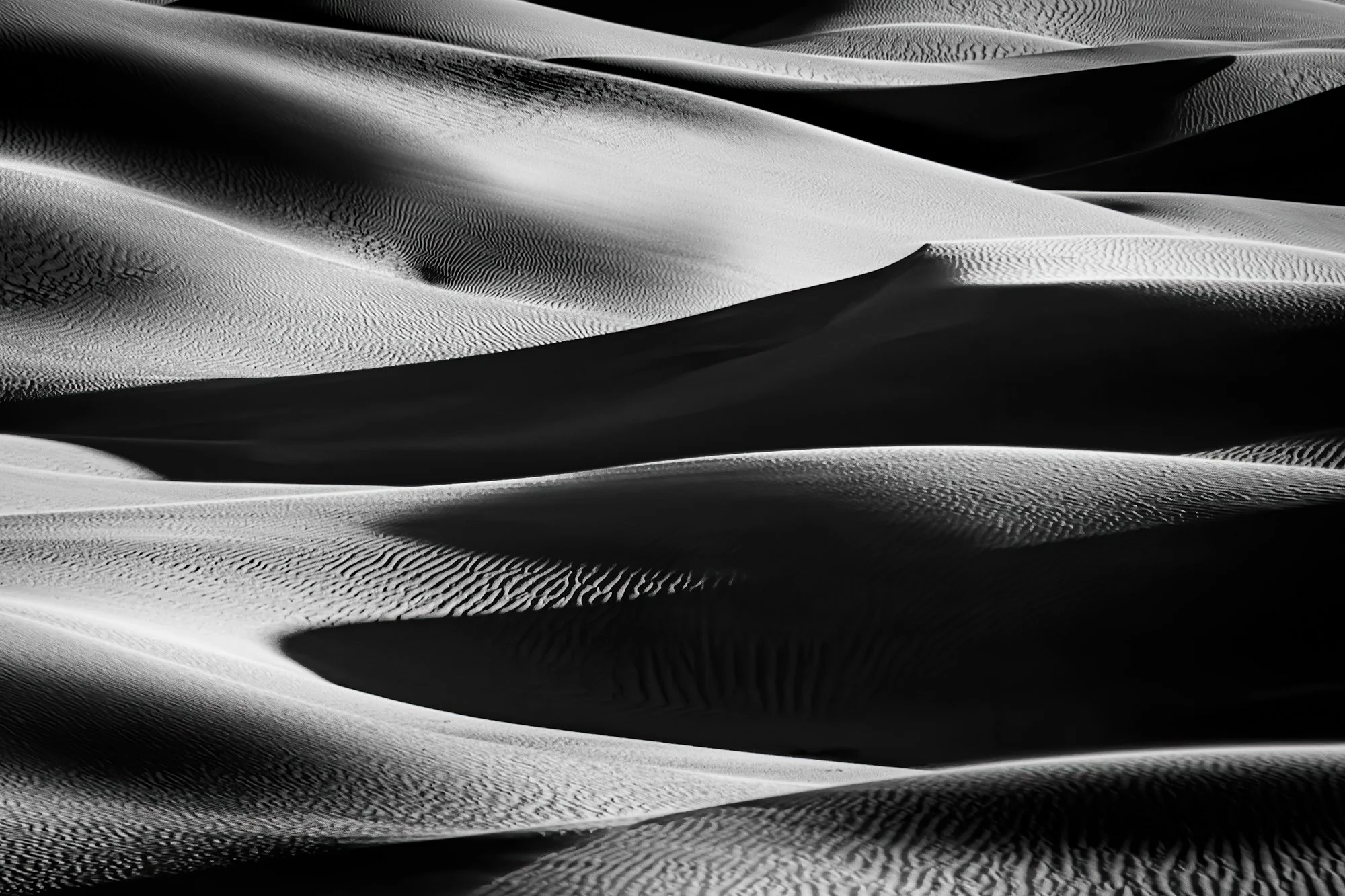 Natures Shapes in Black &amp; White