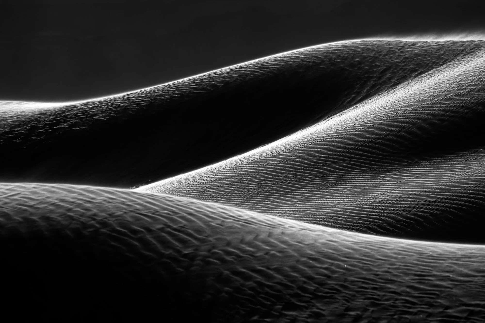 Sand Dune Study Black &amp; White 