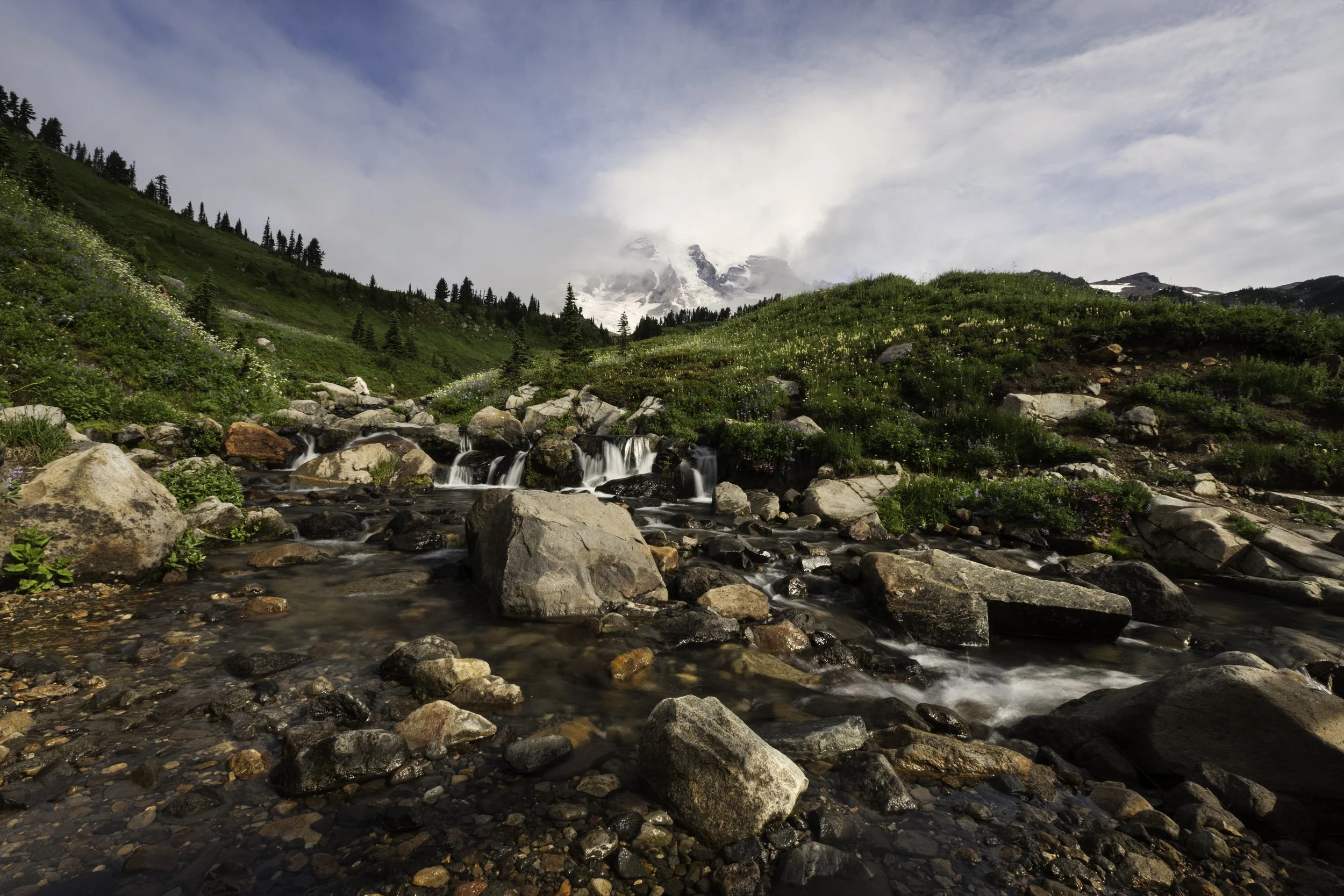 alpine-meadows-mount-rainier.jpg