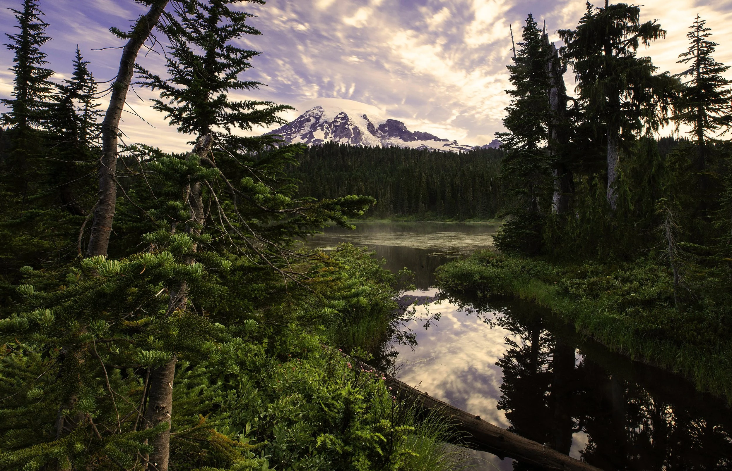 alpine-stream-mount-rainier.jpg