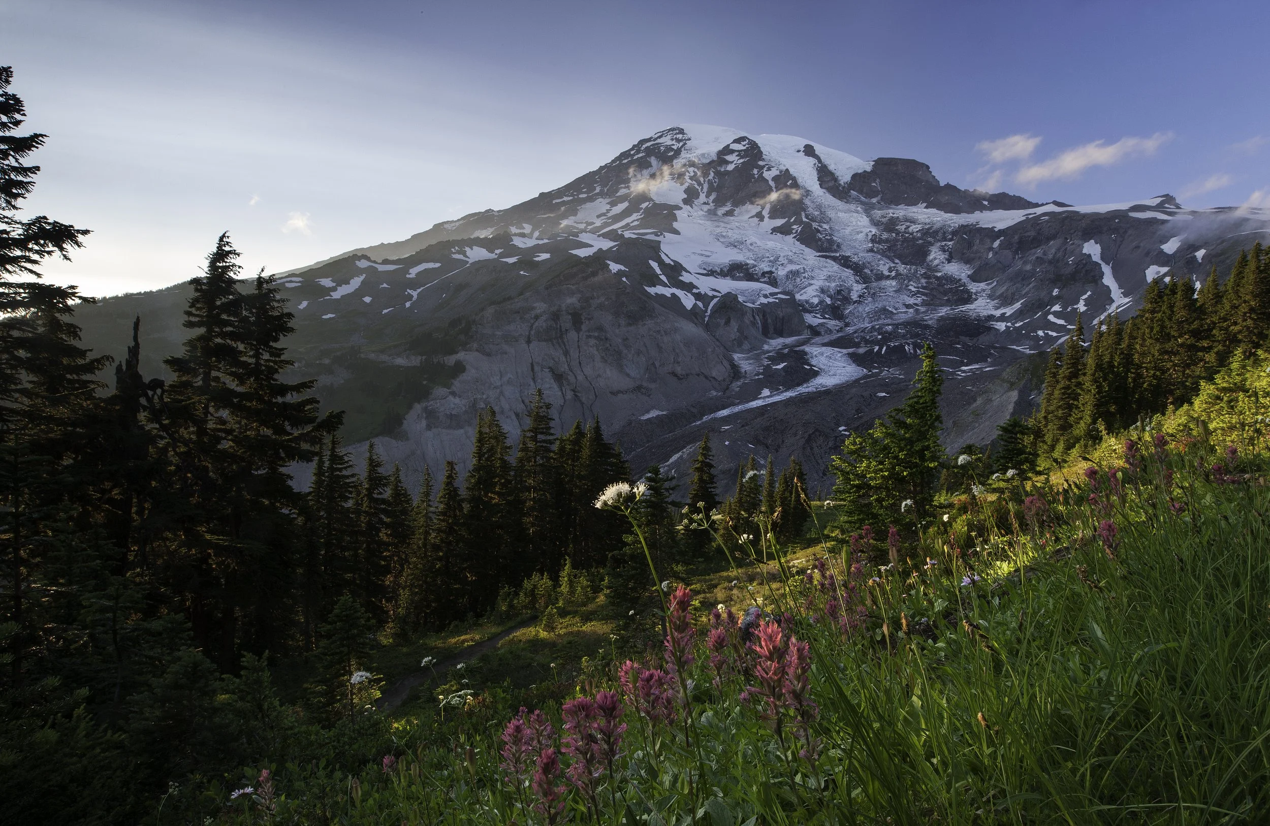 mount-rainier-alpine-landscape.jpg