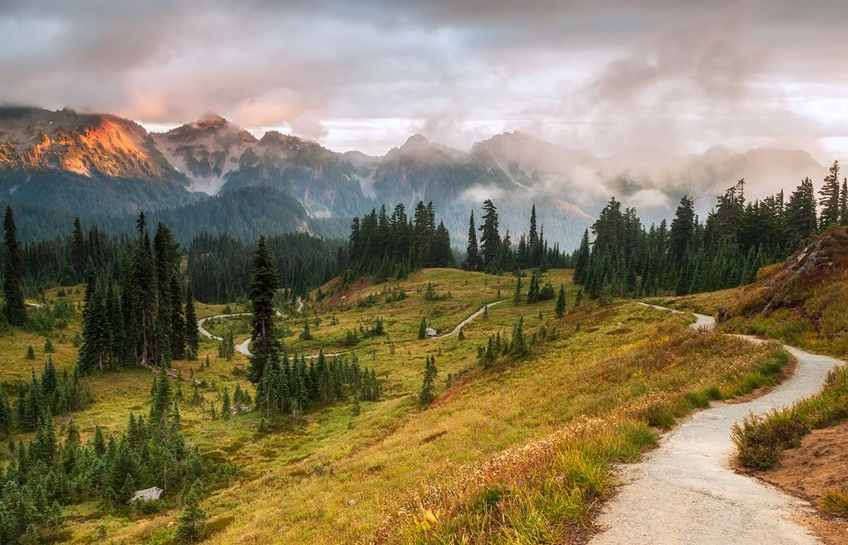 mount-rainier-alpine-trails.jpg