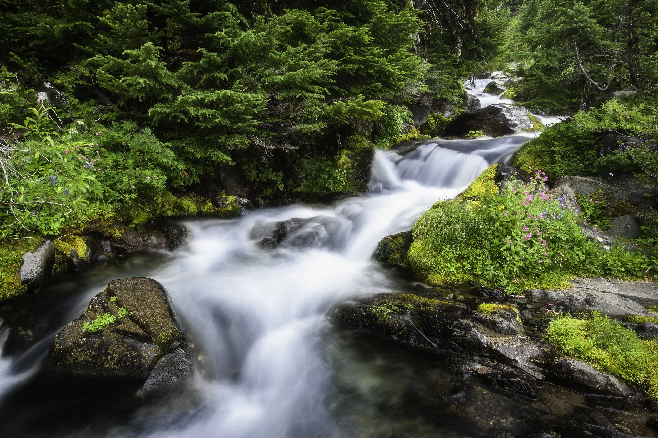 mount-rainier-waterfalls.jpg
